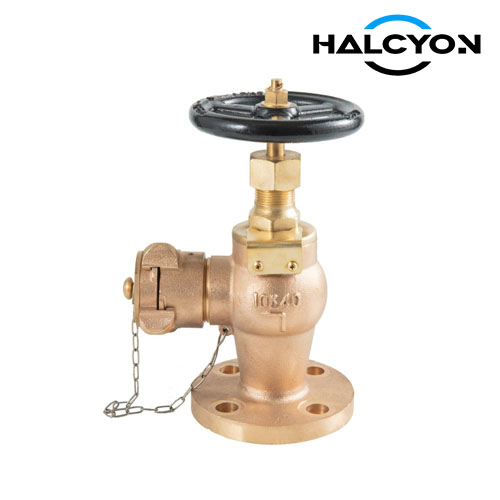 JIS 10K Hose Globe Valve